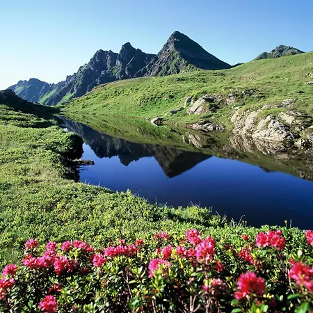 Alpen Loft 3* Munster