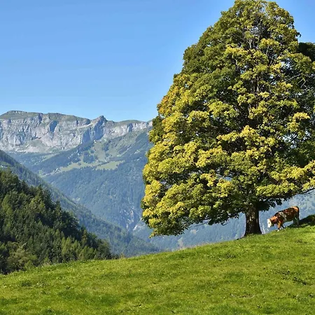 Alpen Loft Bed & Breakfast Munster