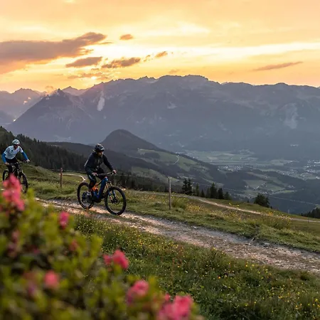 Alpen Loft 3* Munster